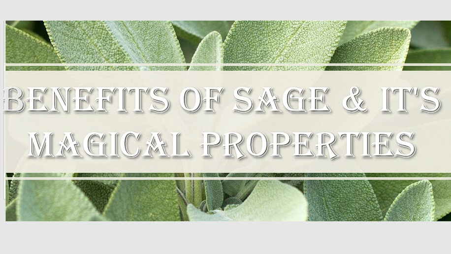 benefits of sage and its magical properties