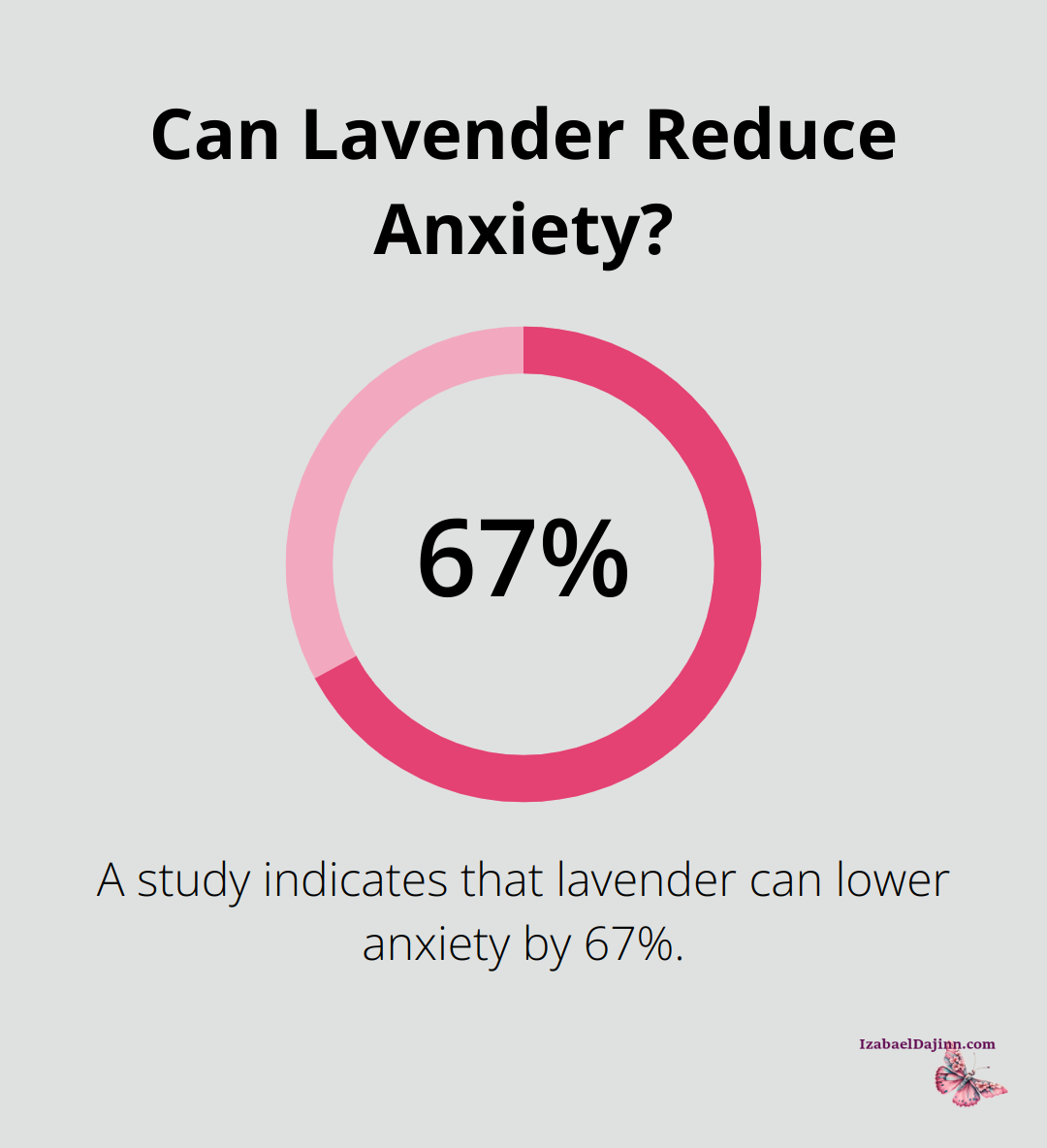 Can Lavender Reduce Anxiety?